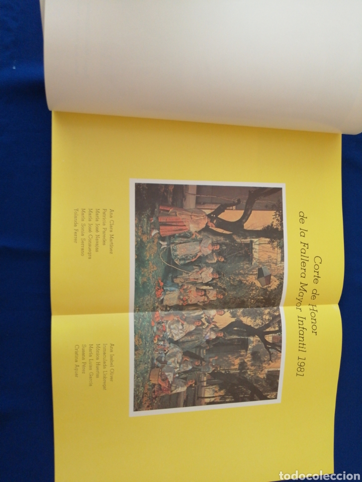 Libros de segunda mano: LIBRO FALLERO FALLAS 1981 EDITADO POR LA JUNTA CENTRAL FALLERA - Foto 7