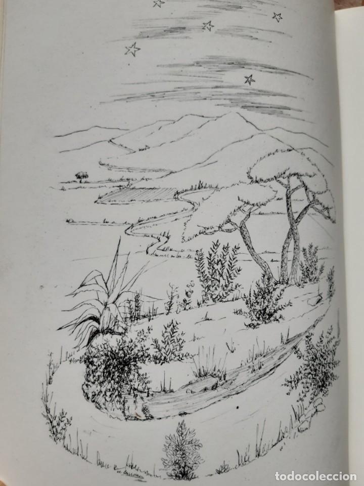 Libros de segunda mano: Des de Cadaques Anna Dali Angels Carbona - Foto 11