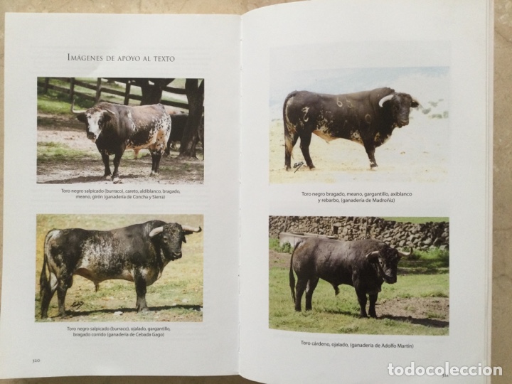 Libros de segunda mano: C&Oacute;MO VER EL TORO EN LA PLAZA. Jos&eacute; Luis Prieto Garrido - Foto 5