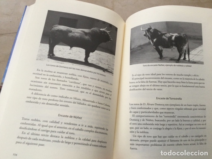 Libros de segunda mano: C&Oacute;MO VER EL TORO EN LA PLAZA. Jos&eacute; Luis Prieto Garrido - Foto 6
