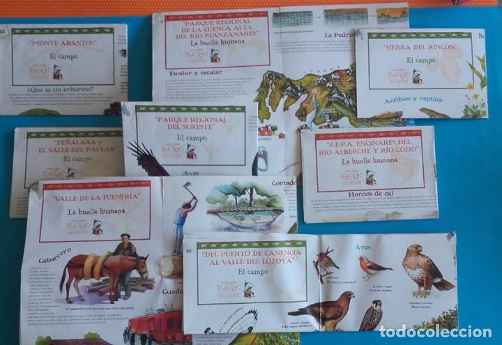 Libros de segunda mano: EXPLORA MADRID CON EL TEJ&Oacute;N RAM&Oacute;N. EXPLORADOR DE LA NATURALEZA. - Foto 8