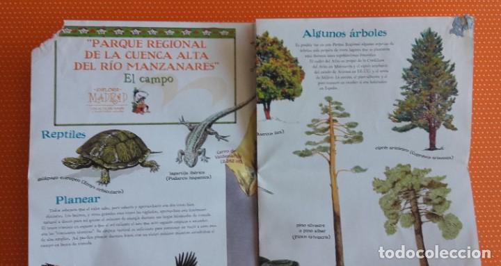 Libros de segunda mano: EXPLORA MADRID CON EL TEJ&Oacute;N RAM&Oacute;N. EXPLORADOR DE LA NATURALEZA. - Foto 12