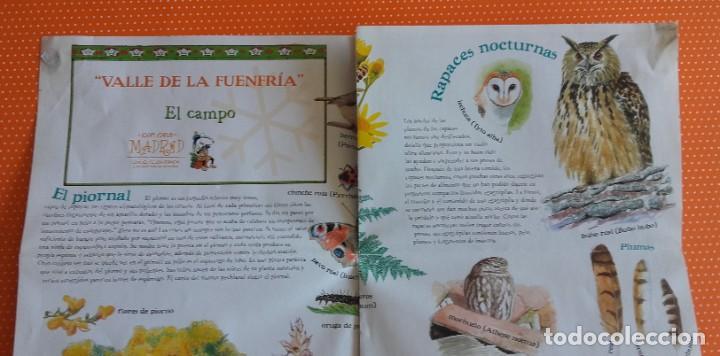 Libros de segunda mano: EXPLORA MADRID CON EL TEJ&Oacute;N RAM&Oacute;N. EXPLORADOR DE LA NATURALEZA. - Foto 13