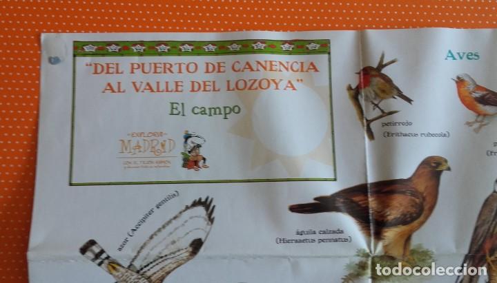Libros de segunda mano: EXPLORA MADRID CON EL TEJ&Oacute;N RAM&Oacute;N. EXPLORADOR DE LA NATURALEZA. - Foto 16