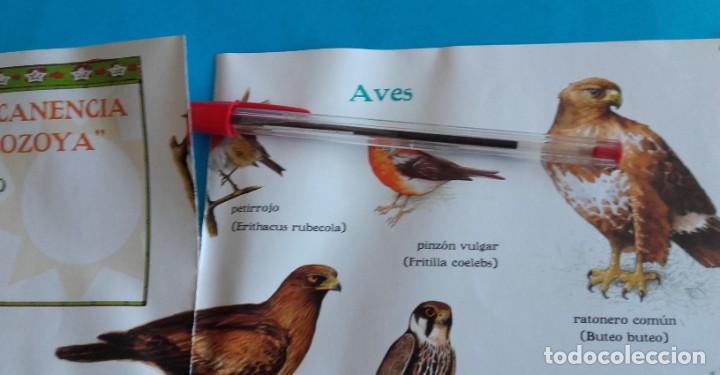 Libros de segunda mano: EXPLORA MADRID CON EL TEJ&Oacute;N RAM&Oacute;N. EXPLORADOR DE LA NATURALEZA. - Foto 17