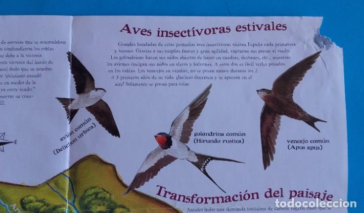 Libros de segunda mano: EXPLORA MADRID CON EL TEJ&Oacute;N RAM&Oacute;N. EXPLORADOR DE LA NATURALEZA. - Foto 19
