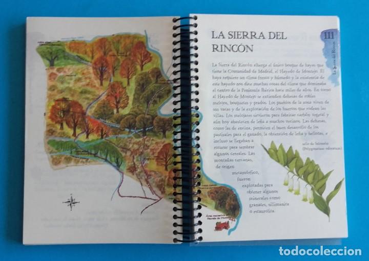 Libros de segunda mano: EXPLORA MADRID CON EL TEJ&Oacute;N RAM&Oacute;N. EXPLORADOR DE LA NATURALEZA. - Foto 23