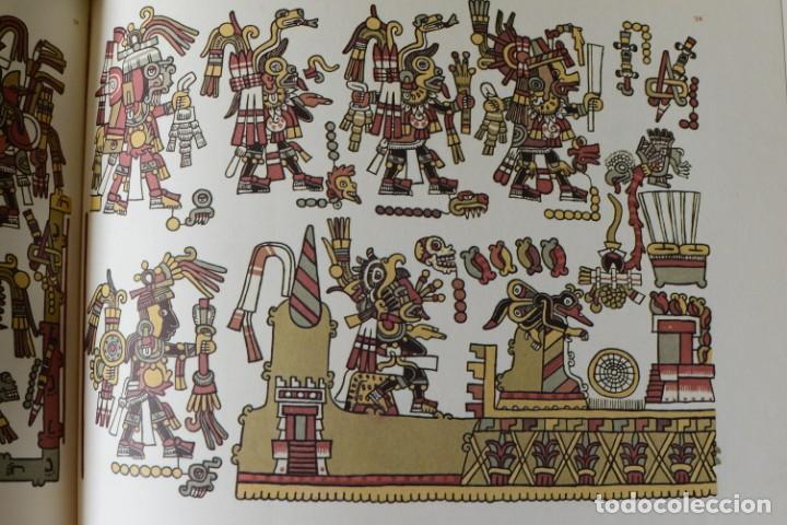 Libros de segunda mano: The Codex Nuttall. A picture manuscript from Ancient Mexico. Edited by Zelia Nuttall - Foto 2