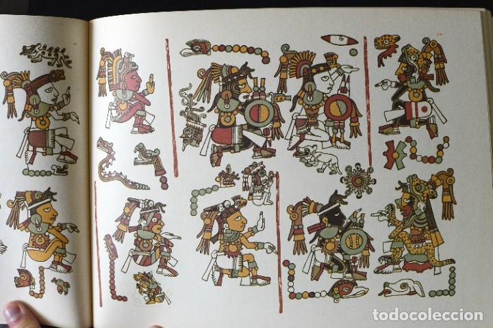 Libros de segunda mano: The Codex Nuttall. A picture manuscript from Ancient Mexico. Edited by Zelia Nuttall - Foto 3