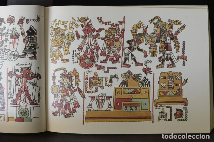 Libros de segunda mano: The Codex Nuttall. A picture manuscript from Ancient Mexico. Edited by Zelia Nuttall - Foto 5