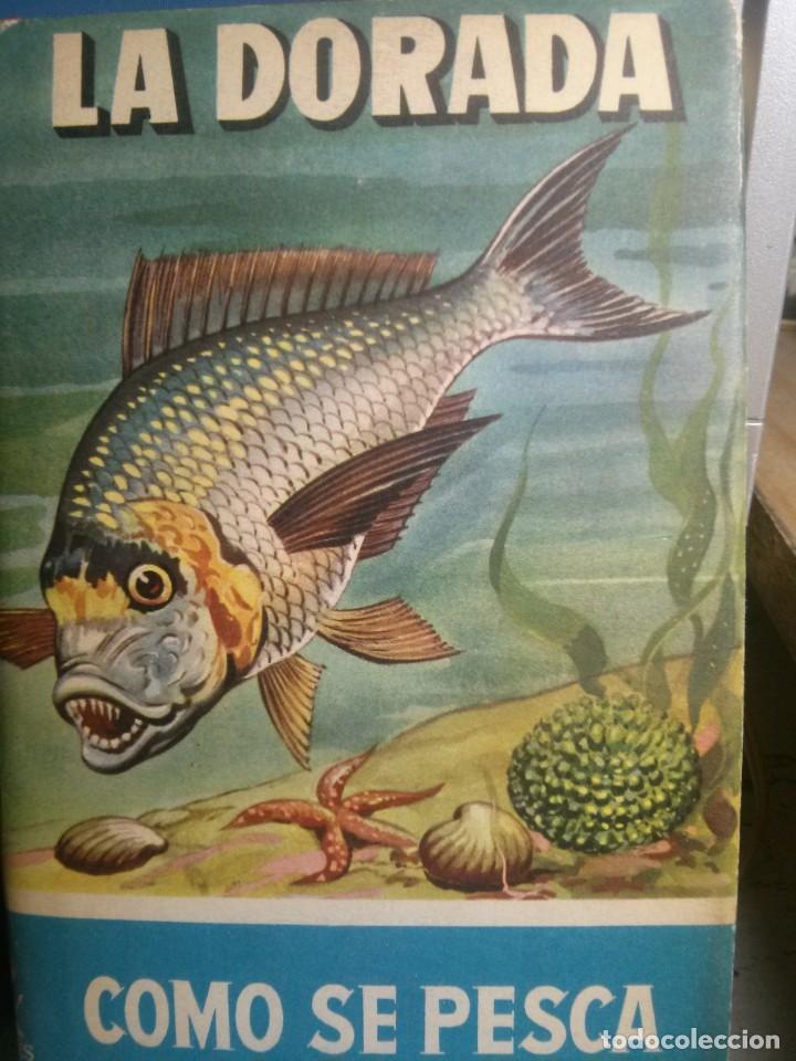 Libros de segunda mano: como se pesca: la dorada, francisco suay - Foto 1