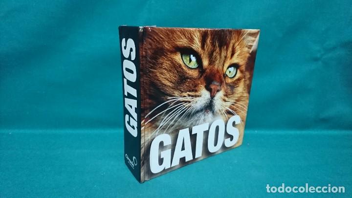 Libros de segunda mano: GATOS, C&Iacute;RCULO DE LECTORES, 2006, CATERINA GROMIS - Foto 1