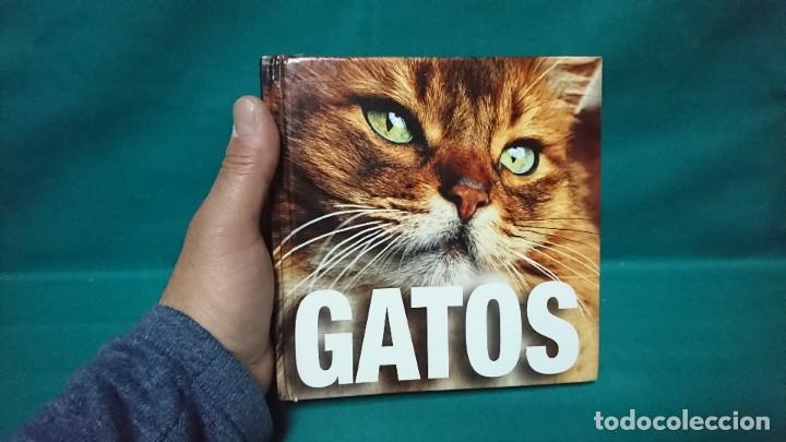 Libros de segunda mano: GATOS, C&Iacute;RCULO DE LECTORES, 2006, CATERINA GROMIS - Foto 3