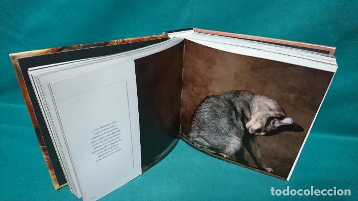Libros de segunda mano: GATOS, C&Iacute;RCULO DE LECTORES, 2006, CATERINA GROMIS - Foto 6