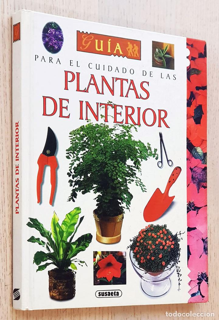 Libros de segunda mano: GUIA PARA EL CUIDADO DE LAS PLANTAS DE INTERIOR - NESSMANN, Pierre - Foto 1