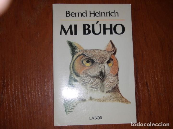 Libros de segunda mano: LIBRO MI BUHO EDITORIAL LABOR - Foto 1