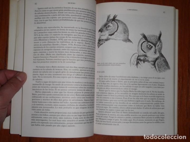 Libros de segunda mano: LIBRO MI BUHO EDITORIAL LABOR - Foto 4