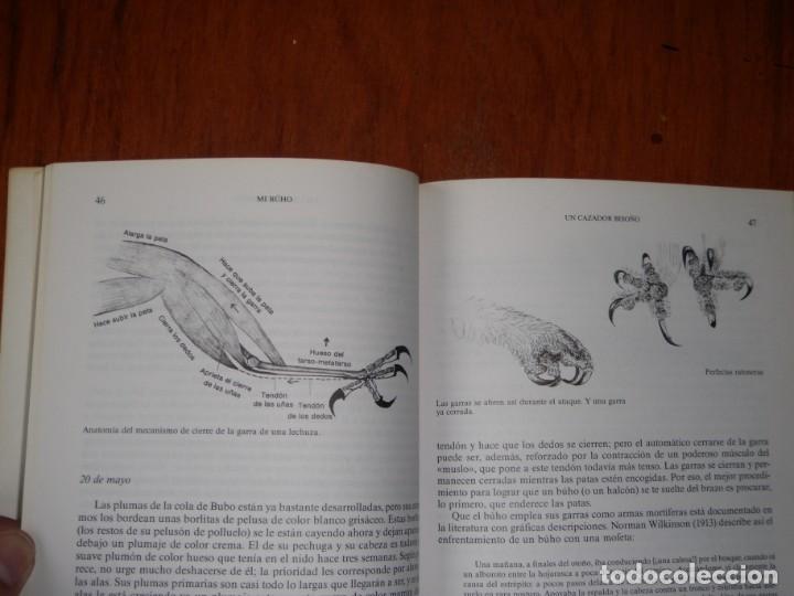 Libros de segunda mano: LIBRO MI BUHO EDITORIAL LABOR - Foto 8