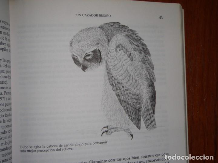 Libros de segunda mano: LIBRO MI BUHO EDITORIAL LABOR - Foto 9