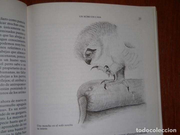 Libros de segunda mano: LIBRO MI BUHO EDITORIAL LABOR - Foto 10