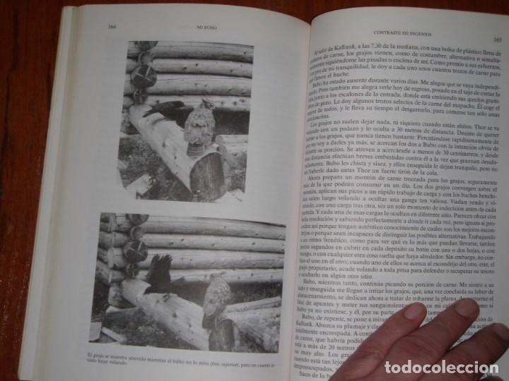 Libros de segunda mano: LIBRO MI BUHO EDITORIAL LABOR - Foto 11