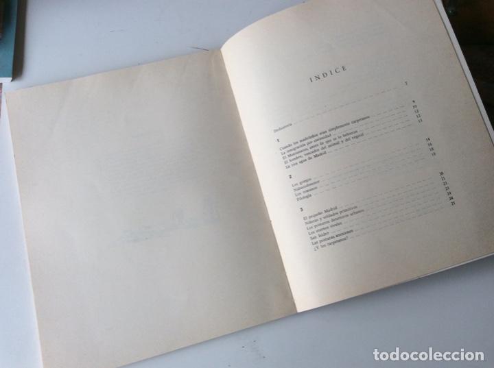 Libros de segunda mano: Antonio Mingote. Historia de Madrid. Libro - Foto 3