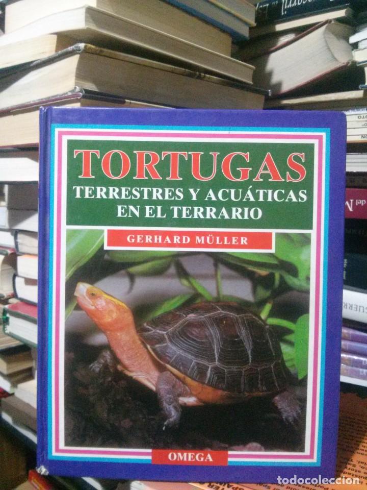 Libros de segunda mano: TORTUGAS, GERHARD MULLER, ED. OMEGA - Foto 1