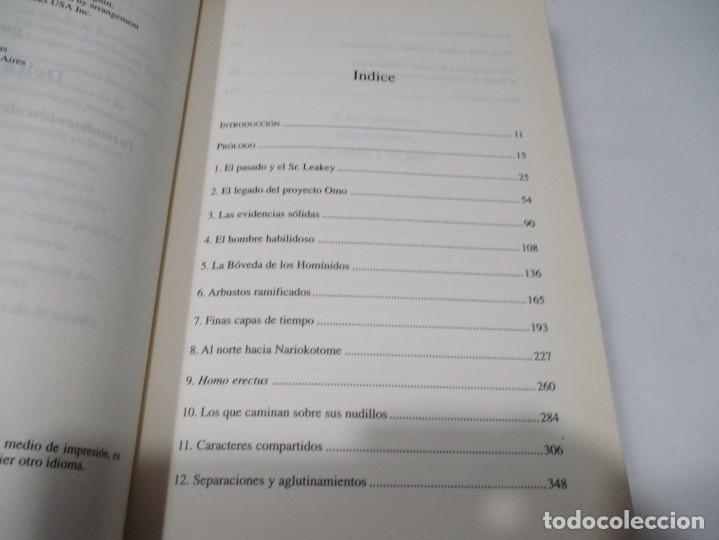 Libros de segunda mano: DELTA WILLIS La banda de Hom&iacute;nidos W6202 - Foto 2