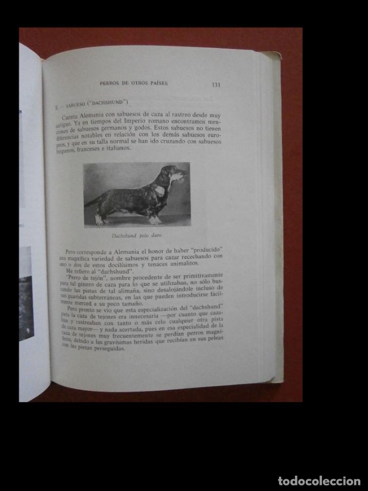Libros de segunda mano: Perros de caza. Fernando Huertas Ramirez - Foto 3