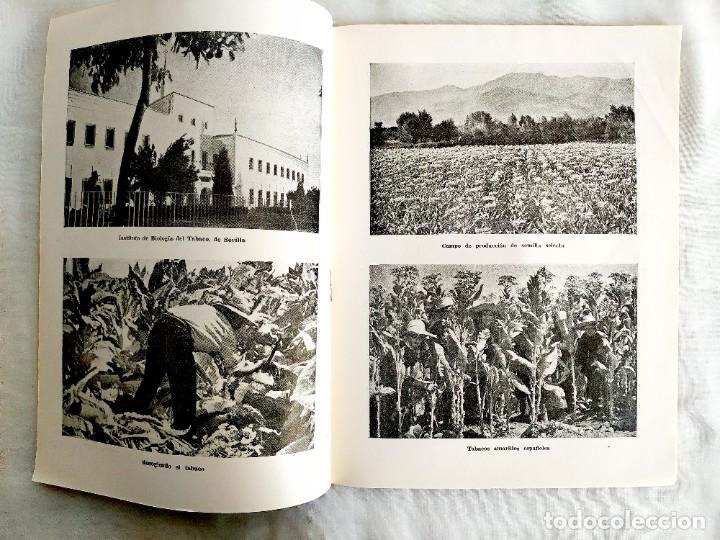 Libros de segunda mano: 1956 - EL TABACO - TEMAS ESPA&Ntilde;OLES N&Uacute;M. 227 - Foto 2