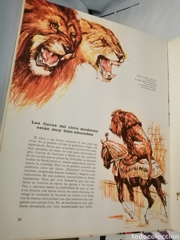 Libros de segunda mano: &iexcl;VAMOS AL CIRCO! (PRIMERA EDICI&Oacute;N) - Foto 5