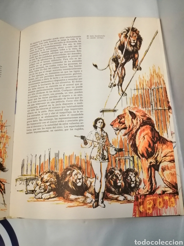 Libros de segunda mano: &iexcl;VAMOS AL CIRCO! (PRIMERA EDICI&Oacute;N) - Foto 6