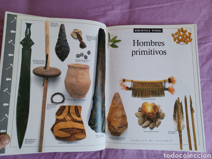 Libros de segunda mano: Libro LOS HOMBRES PRIMITIVOS - Biblioteca Visual * C&iacute;rculo de Lectores 1992 (C&oacute;mo nuevo) - Foto 3
