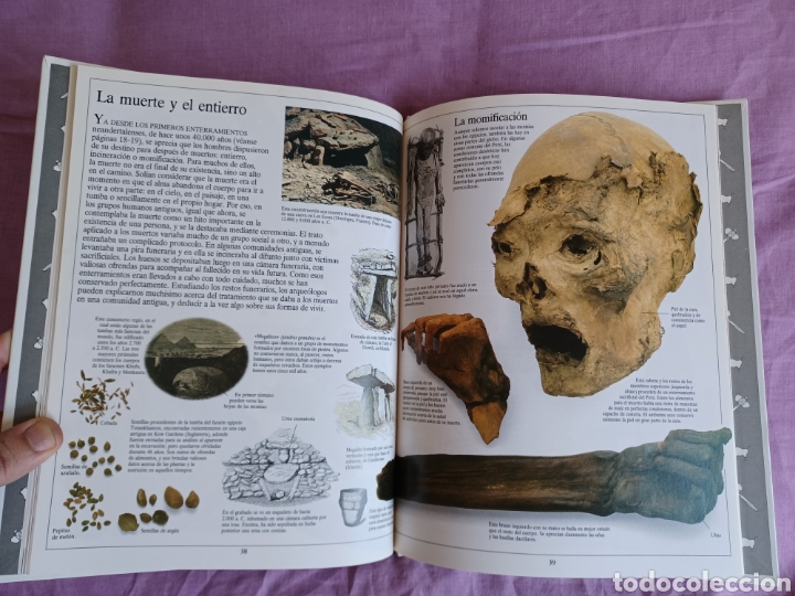 Libros de segunda mano: Libro LOS HOMBRES PRIMITIVOS - Biblioteca Visual * C&iacute;rculo de Lectores 1992 (C&oacute;mo nuevo) - Foto 5