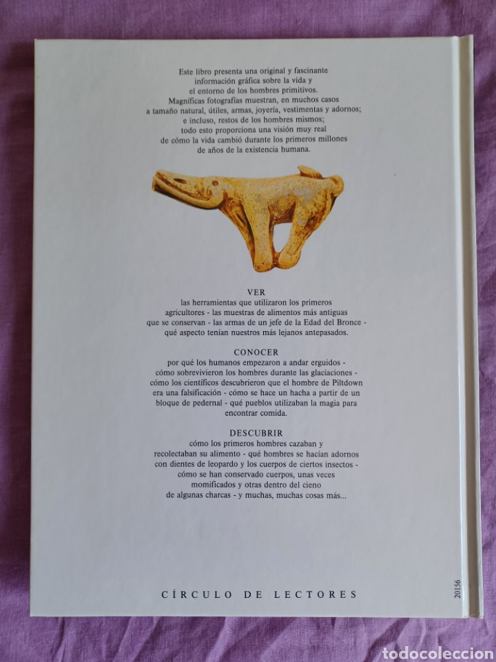 Libros de segunda mano: Libro LOS HOMBRES PRIMITIVOS - Biblioteca Visual * C&iacute;rculo de Lectores 1992 (C&oacute;mo nuevo) - Foto 2