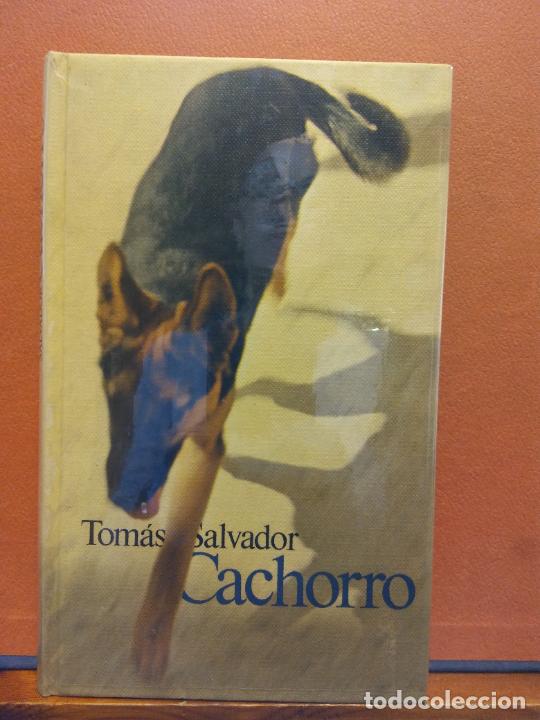 Libros de segunda mano: CACHORRO. TOM&Aacute;S SALVADOR. C&Iacute;RCULO DE LECTORES - Foto 1