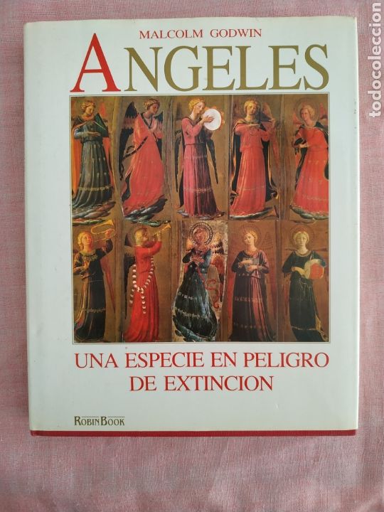 Libros de segunda mano: El Coliseo (Roberto Luciani) + Angeles (Malcom Godwin) - Foto 3