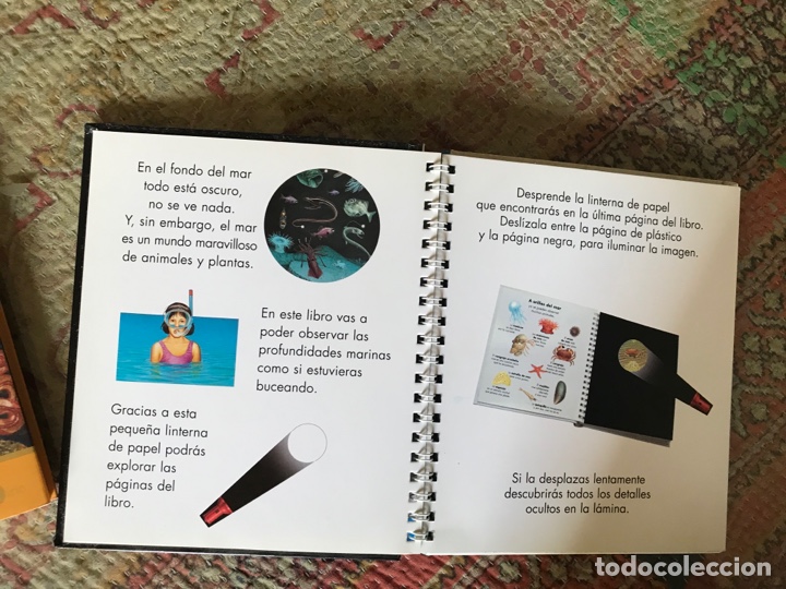 Libros de segunda mano: Yo observo. Los animales marinos. SM. - Foto 3