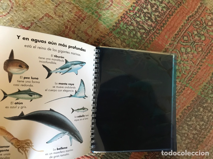 Libros de segunda mano: Yo observo. Los animales marinos. SM. - Foto 4