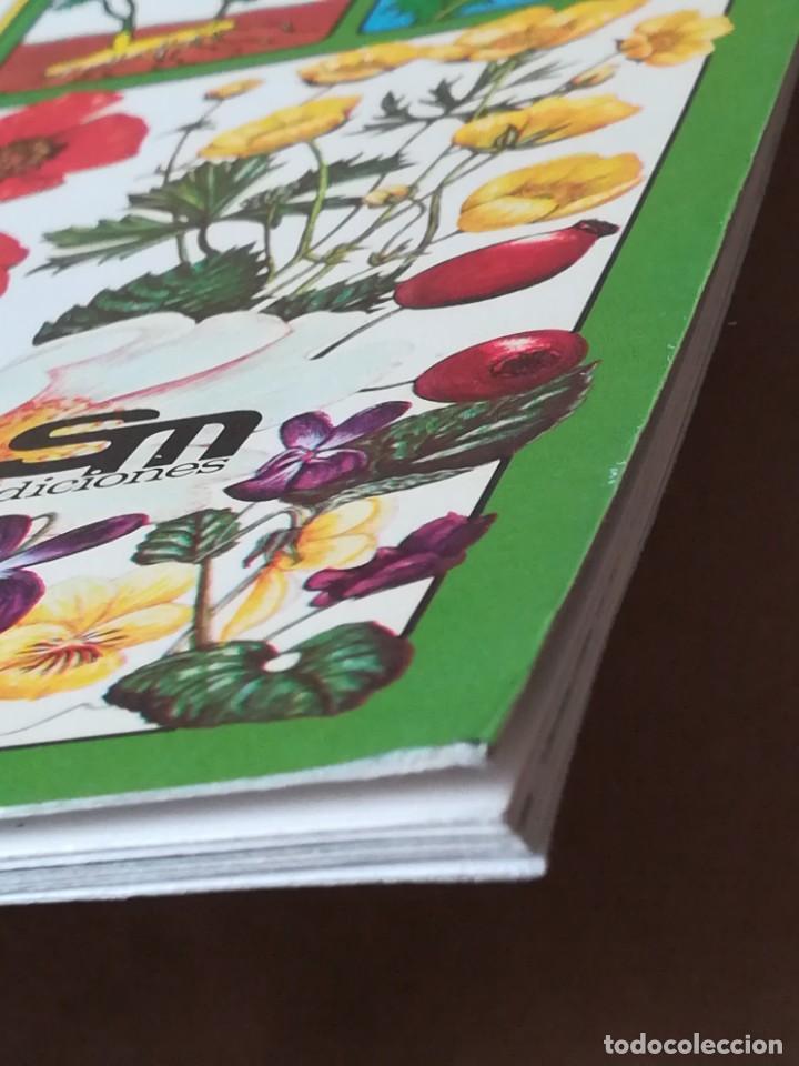 Libros de segunda mano: LIBRO PLESA LA SENDA DE LA NATURALEZA FLORES SILVESTRES - Foto 4