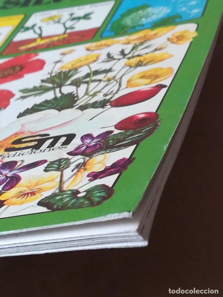 Libros de segunda mano: LIBRO PLESA LA SENDA DE LA NATURALEZA FLORES SILVESTRES - Foto 5