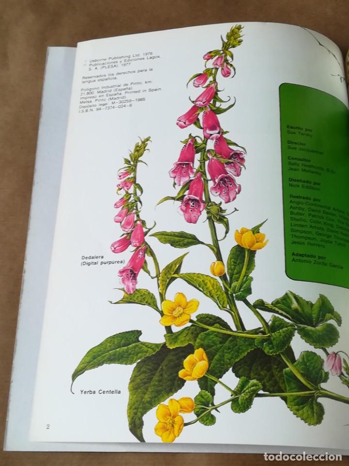 Libros de segunda mano: LIBRO PLESA LA SENDA DE LA NATURALEZA FLORES SILVESTRES - Foto 14