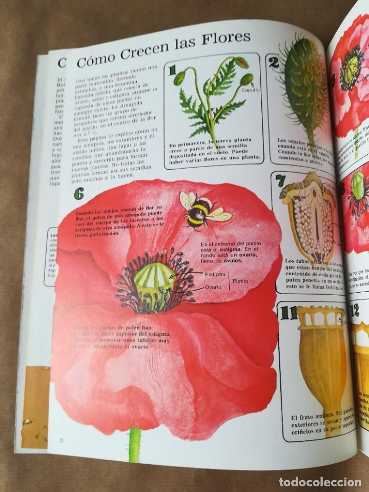 Libros de segunda mano: LIBRO PLESA LA SENDA DE LA NATURALEZA FLORES SILVESTRES - Foto 16