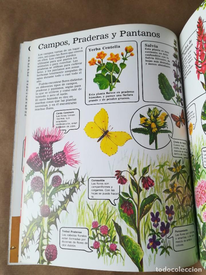 Libros de segunda mano: LIBRO PLESA LA SENDA DE LA NATURALEZA FLORES SILVESTRES - Foto 17