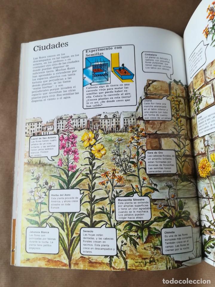 Libros de segunda mano: LIBRO PLESA LA SENDA DE LA NATURALEZA FLORES SILVESTRES - Foto 18