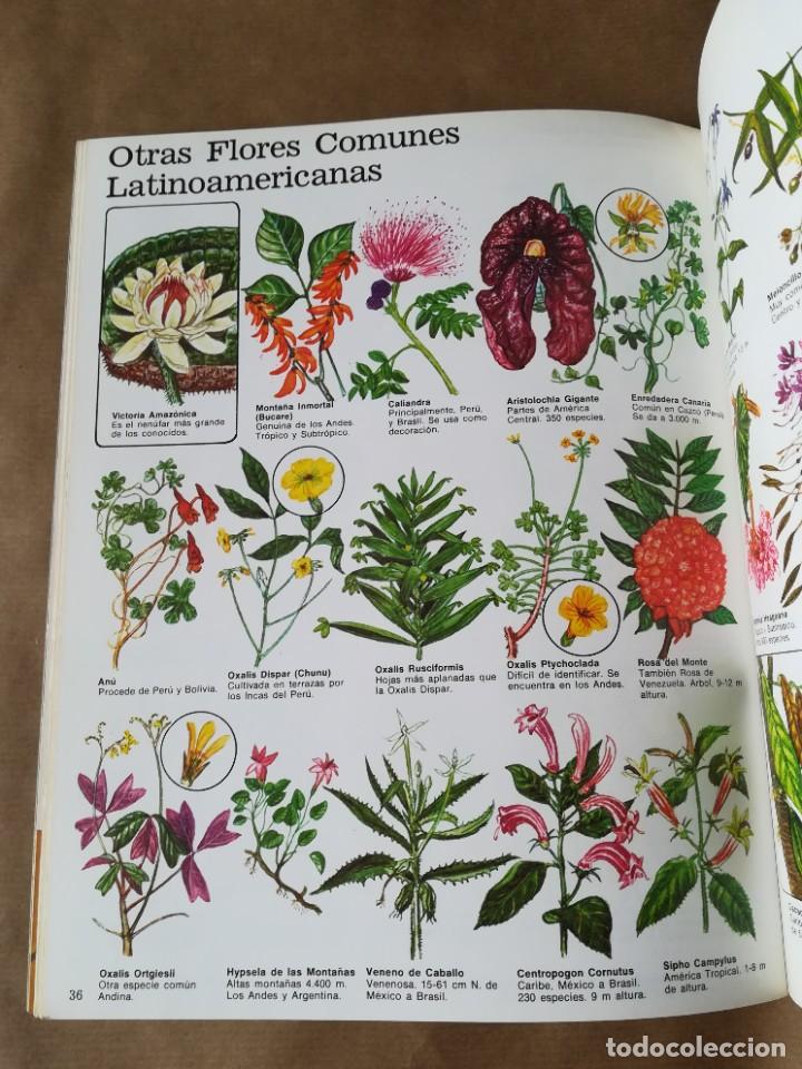 Libros de segunda mano: LIBRO PLESA LA SENDA DE LA NATURALEZA FLORES SILVESTRES - Foto 19