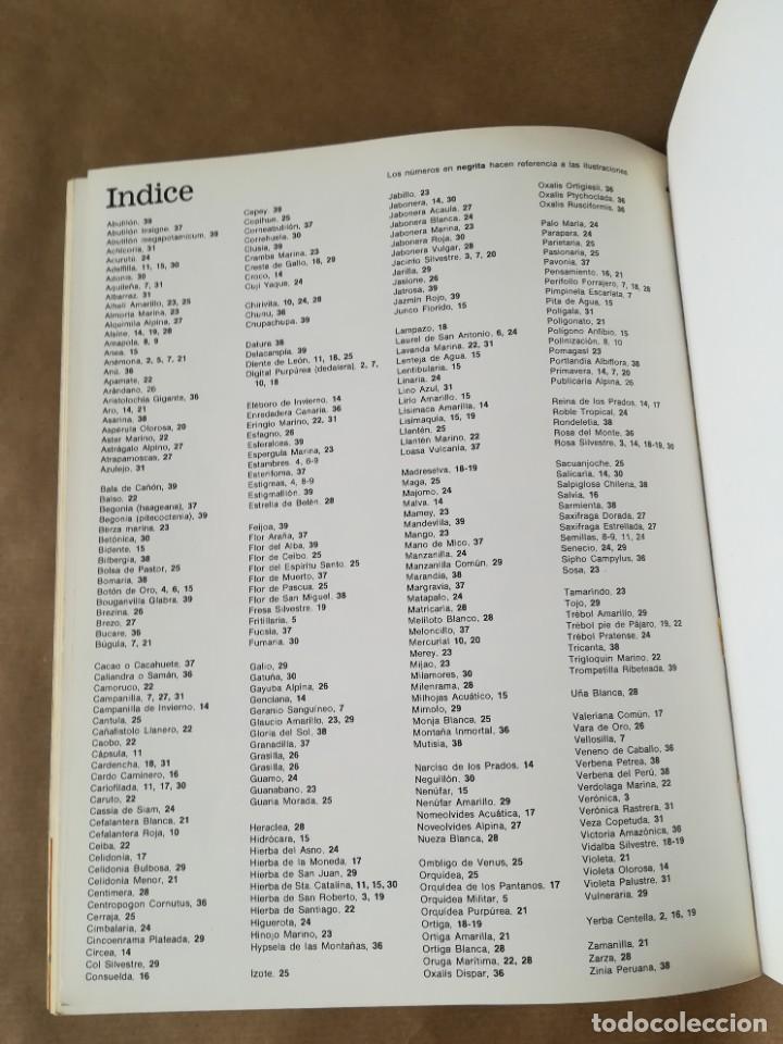 Libros de segunda mano: LIBRO PLESA LA SENDA DE LA NATURALEZA FLORES SILVESTRES - Foto 20