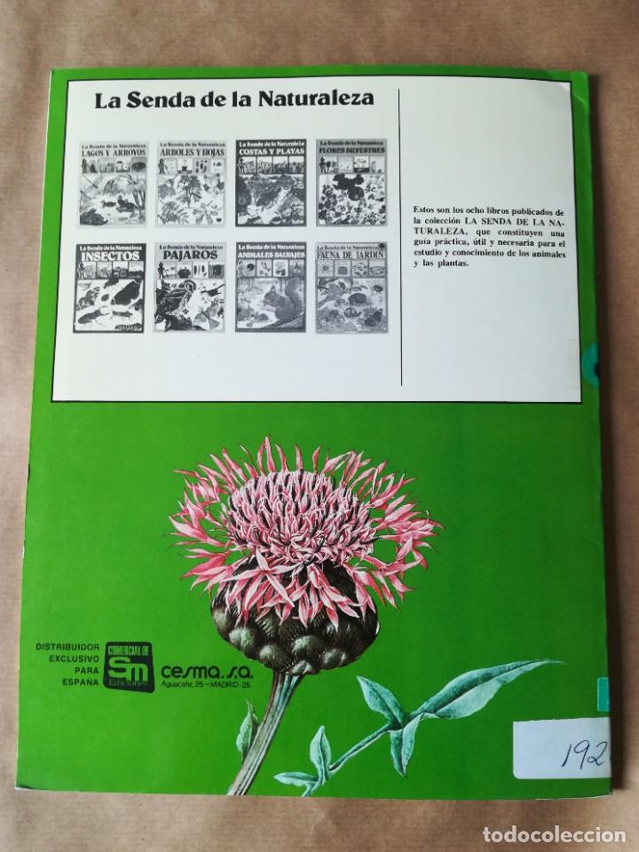 Libros de segunda mano: LIBRO PLESA LA SENDA DE LA NATURALEZA FLORES SILVESTRES - Foto 21