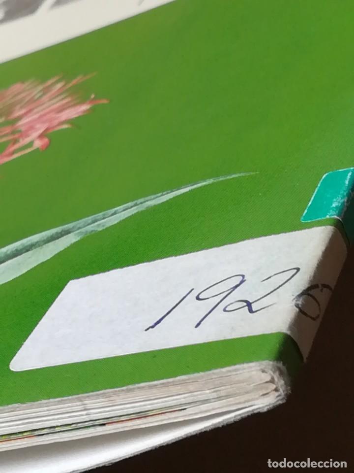 Libros de segunda mano: LIBRO PLESA LA SENDA DE LA NATURALEZA FLORES SILVESTRES - Foto 26