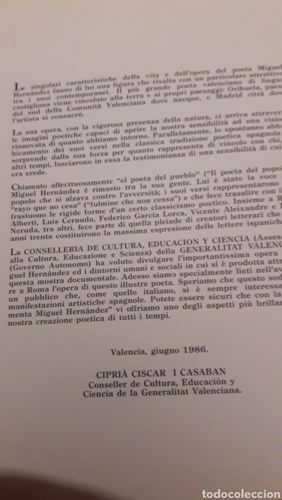Libros de segunda mano: Documenta Miguel Hern&aacute;ndez, 1985 - Foto 3
